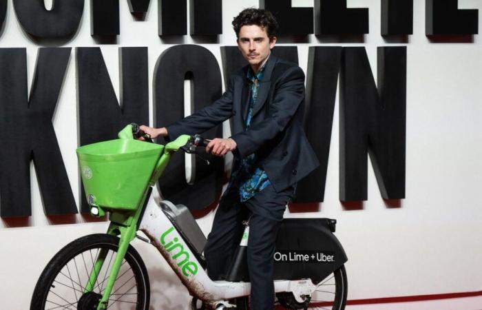 Timothée Chalamet arriva in bici elettrica e camicia hawaiana sul tappeto rosso di A Perfect Stranger