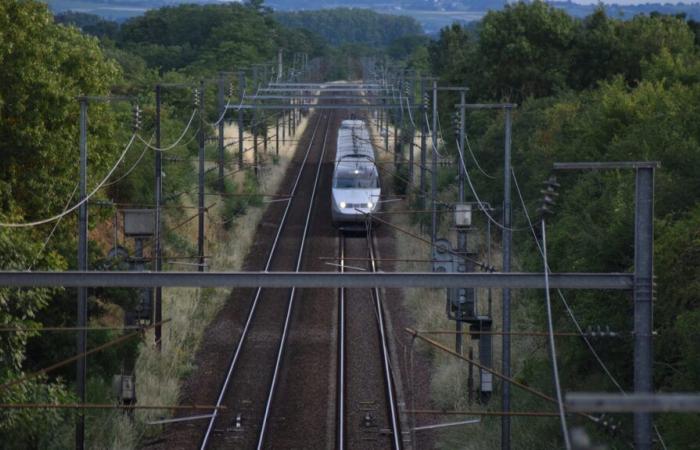 Donna di 34 anni muore dopo essere stata investita da un treno ad un passaggio a livello