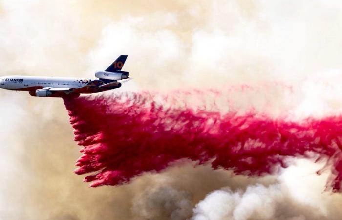 cos’è Phos-Check, questa polvere rosa lanciata dai Canadair per combattere le fiamme?