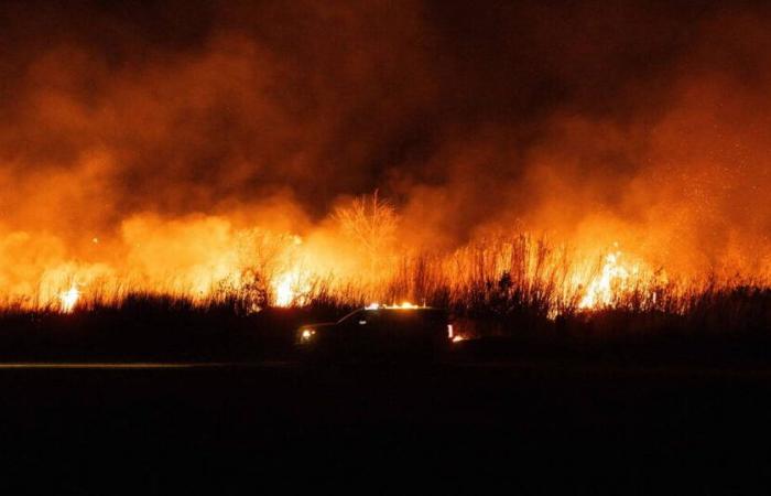 “Stiamo assistendo a un cambiamento significativo nella stagionalità degli incendi” – Libération