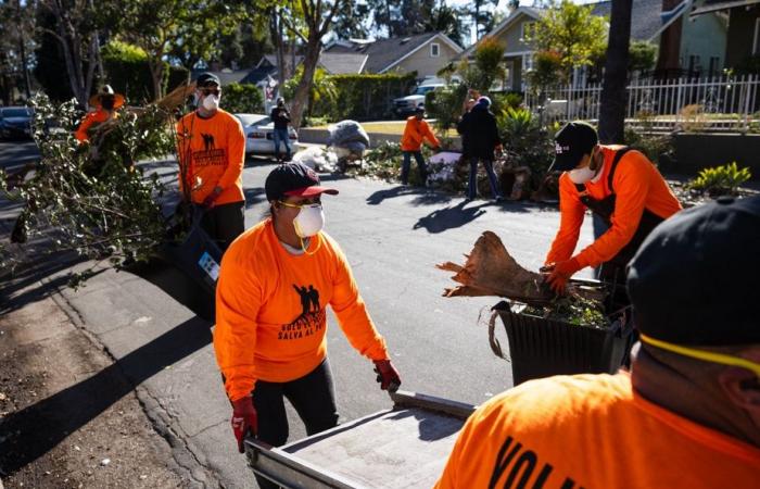 Incendi a Los Angeles | I volontari puliscono le strade disseminate di detriti carbonizzati