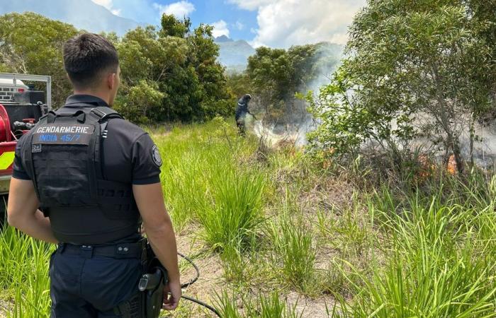 Un giovane minorenne sarà processato a maggio per una serie di incendi a Koné, tra cui quello che ha bruciato una casa prima di Natale