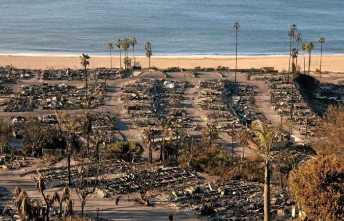 Quale romanzo prediceva gli incendi di Los Angeles del 2024?