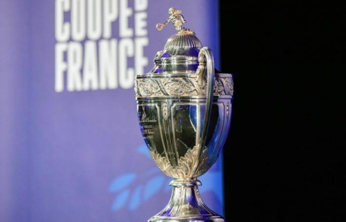 Coupe de France in diretta dalle 18.00