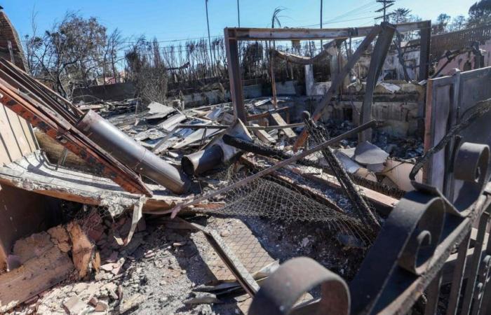 A Los Angeles gli incendi lasciano ustioni psicologiche