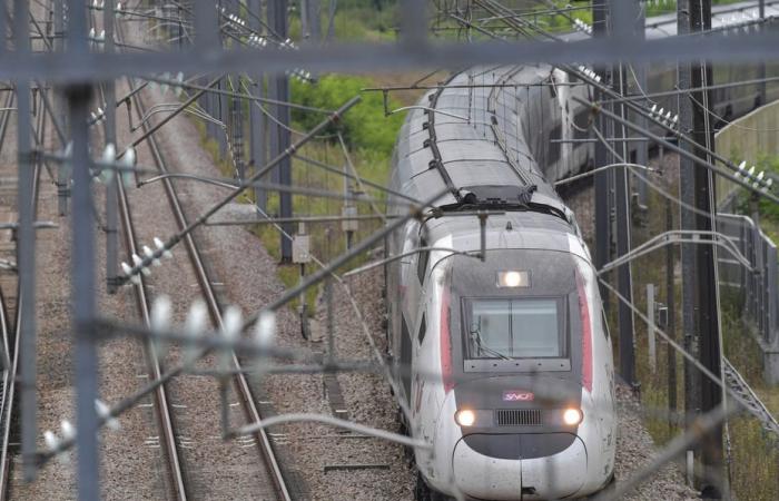 Circolazione ferroviaria parzialmente interrotta in Savoia dopo un “atto vandalico”