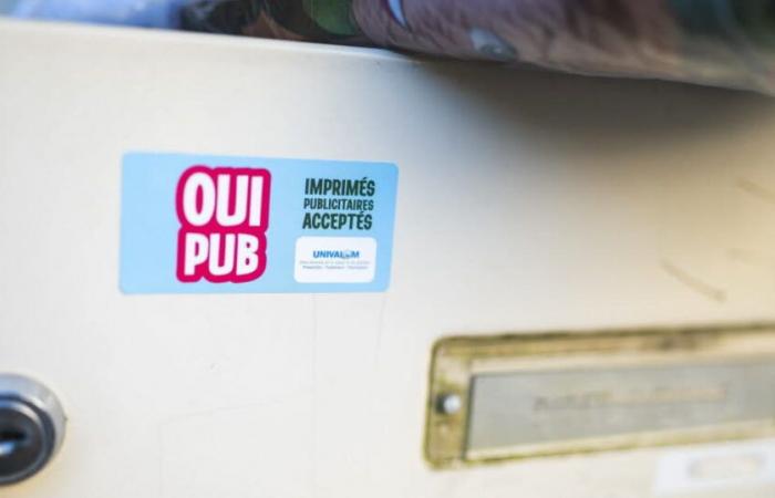 quali risultati per l’esperimento “Oui Pub”?