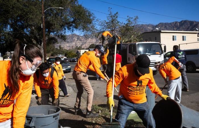 Incendi a Los Angeles | I volontari puliscono le strade disseminate di detriti carbonizzati