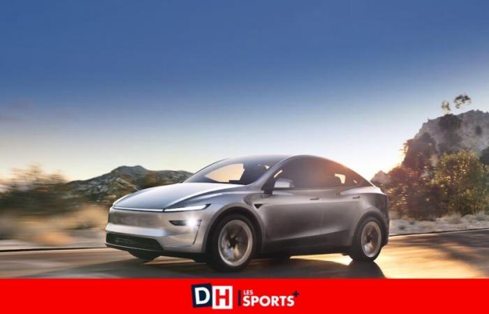 La nuova Tesla Model Y ora sembra davvero un’auto cinese già venduta qui