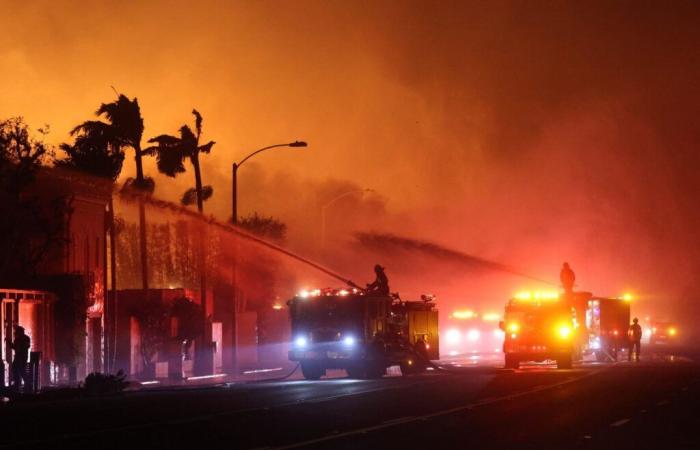 Incendi di Los Angeles: il mondo dell’arte si organizza per aiutare le vittime