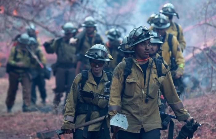 “Questi incendi sono inarrestabili”, solo un elemento può contrastarli