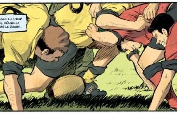 Il fumetto “Les vents ovales” vincitore del premio libro di rugby dell’anno