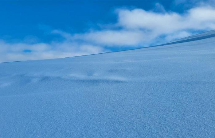 La Gruyère | La cronaca di Isabelle Daccord: tra dolcezza e forza, un luogo singolare