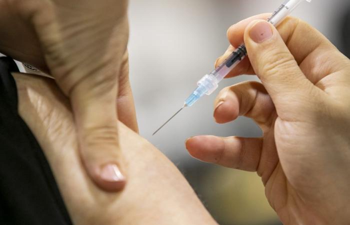 Influenza aviaria | Washington annuncia nuovi finanziamenti per lo sviluppo di vaccini