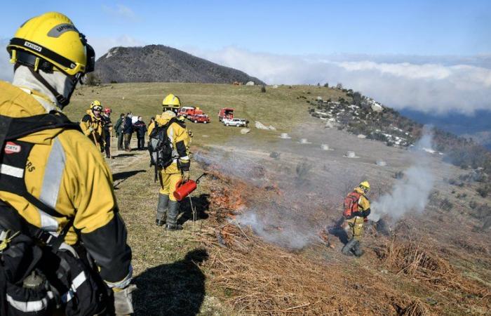 quando i vigili del fuoco appiccarono il fuoco alla montagna per prevenire gli incendi