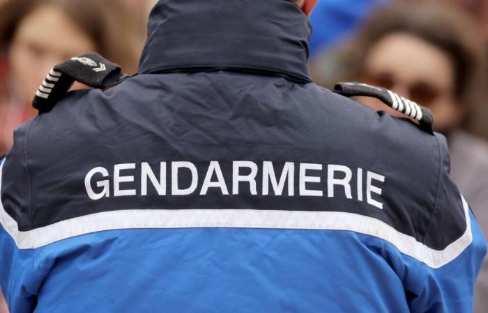 Un settantenne incriminato dopo la morte di un jogger