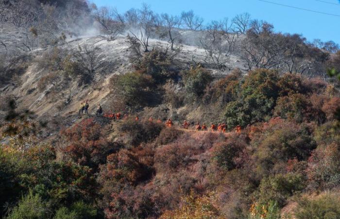 I detenuti combattono gli incendi a Los Angeles