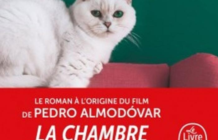 “Qual è il tuo tormento? » Questo è il libro dietro il nuovo film di Almodóvar