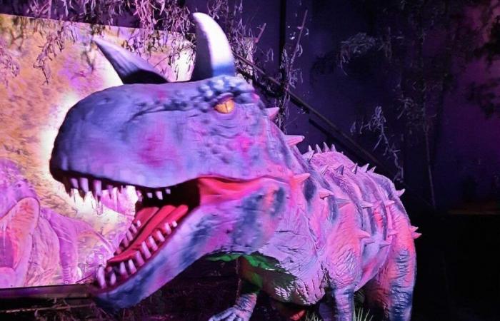 Presso la Country Hall sarà allestita una #divertente mostra sui dinosauri