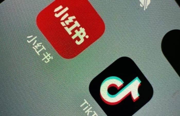 L’app cinese RedNote sale in cima all’Apple Store