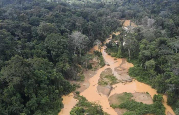 In Guyana, i soldati sono stati processati per estorsione in un sito clandestino di ricerca dell’oro