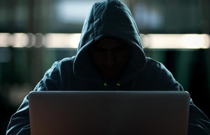 un hacker di 17 anni incriminato per aver violato i dati personali dei clienti Free