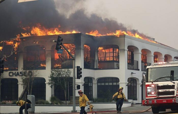 Lezioni dagli incendi di Los Angeles