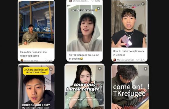 I “rifugiati di TikTok” si rivolgono a un’app cinese