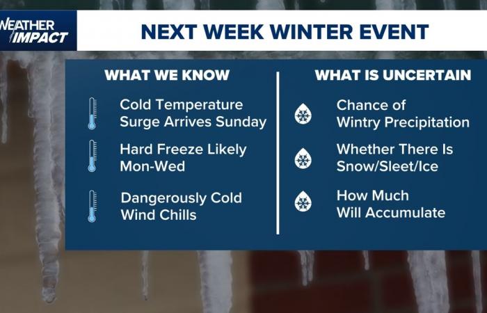 Congelerà a Houston quest’inverno? Per cosa prepararsi