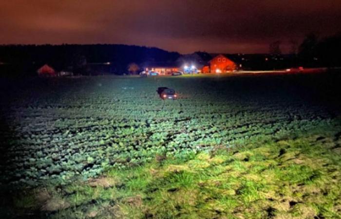 150 metri in un campo di colza