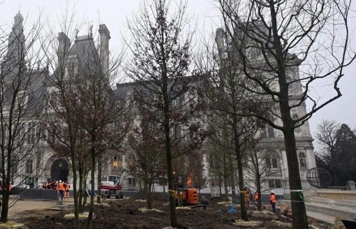 a Parigi vengono piantati i primi alberi della “foresta urbana” del Municipio