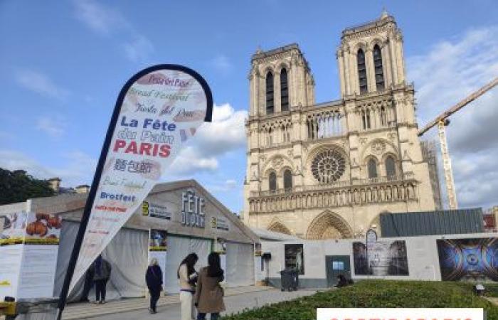 i panettieri artigianali tornano sulla piazza Notre-Dame