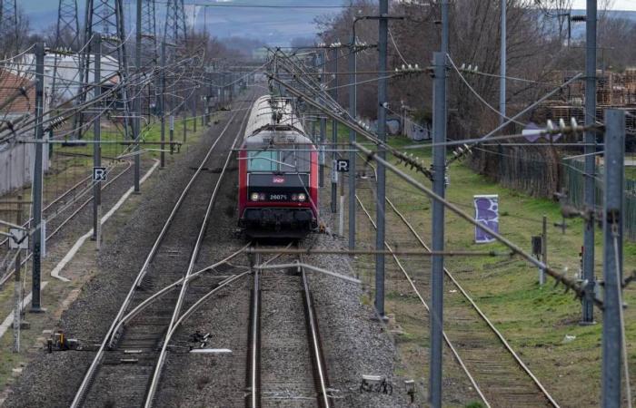 L’USON in viaggio verso Brive, marcia bianca in memoria di Ulrick Leclercq, 50 anni della legge Velo… Le notizie da ricordare di questo venerdì