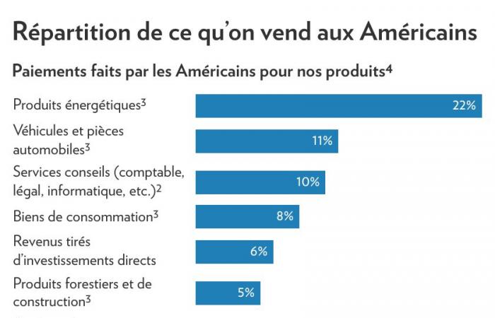 Risposta ai dazi di Trump | Energia e snowbirds