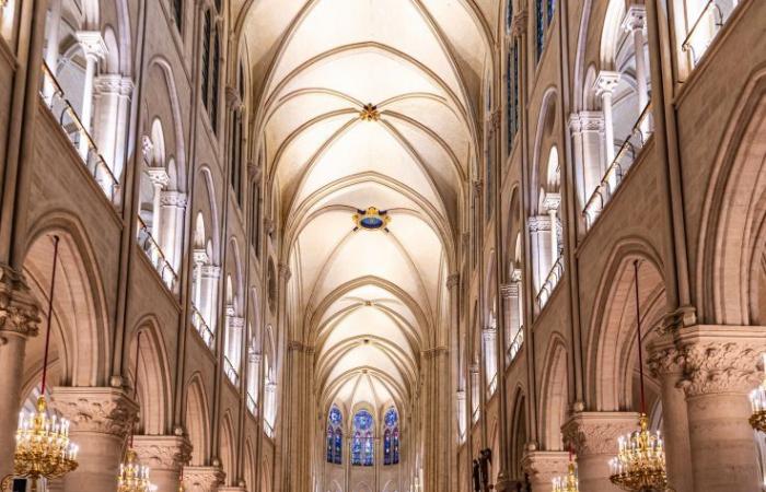 Notre-Dame de Paris è facilmente raggiungibile senza biglietto? C’è ancora coda?