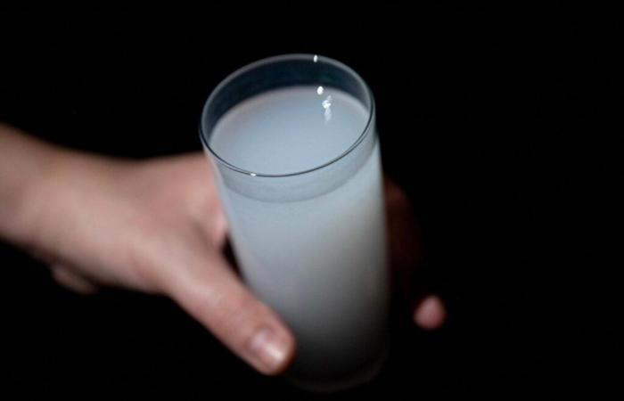 A Istanbul, 33 persone sono morte dopo aver consumato alcol adulterato