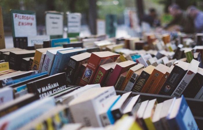 Pins-Justaret. Ritorno della fiera dei libri, dei giochi e dei giocattoli