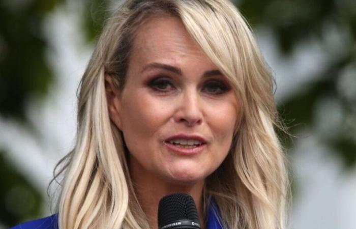 Laeticia Hallyday tornerà a Marnes-la-Coquette? Questa la richiesta dei suoi cari dopo la distruzione della sua villa a causa degli incendi a Los Angeles