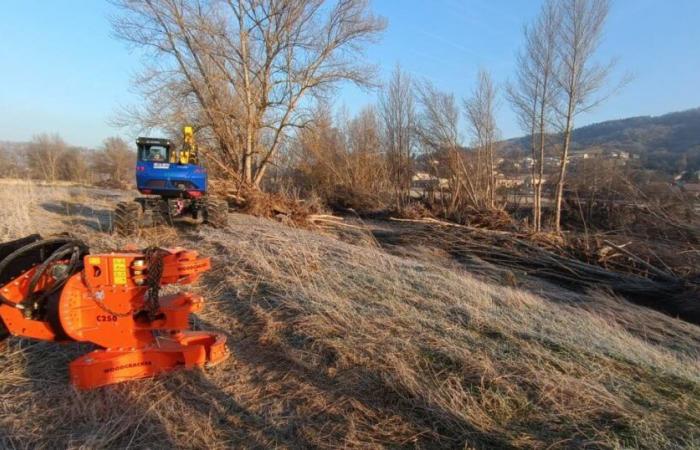 eccoci qui per settimane di pulizia