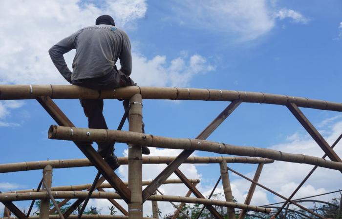 A Mayotte devastata dal ciclone, “gli agricoltori hanno perso tutto”