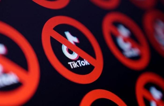 Perché TikTok mostrerà uno schermo nero questa domenica negli Stati Uniti?