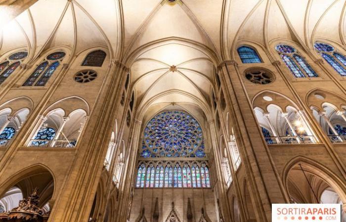 Notre-Dame de Paris è facilmente raggiungibile senza biglietto? C’è ancora coda?