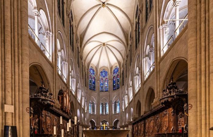 Notre-Dame de Paris è facilmente raggiungibile senza biglietto? C’è ancora coda?