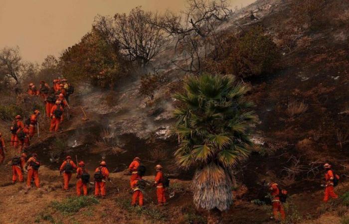 Incendi di Los Angeles: i detenuti rinforzano i vigili del fuoco