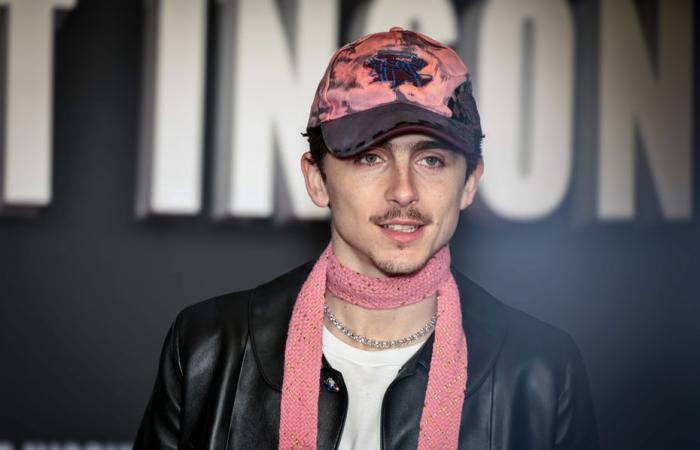 quando Thimothée Chalamet sogna il suo incontro con Bob Dylan