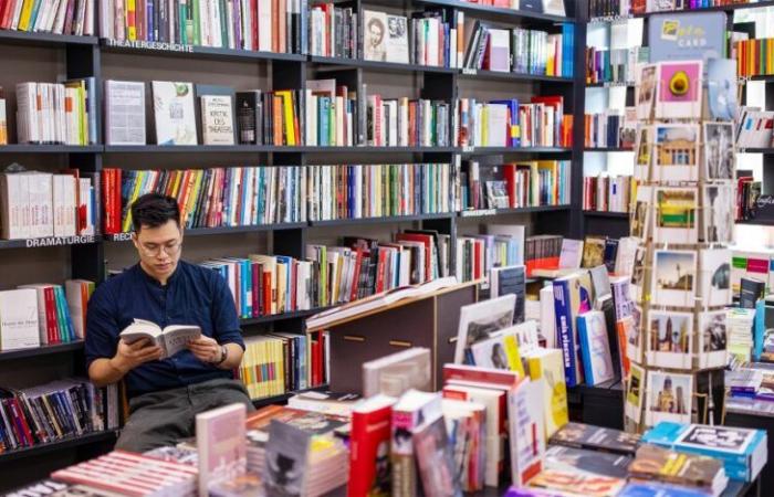 CALO DELLE VENDITE DI LIBRI NEL 2024