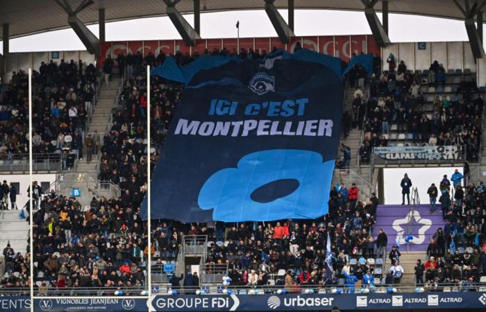 Coppa Sfida. Newcastle-Montpellier, Lione-Cheetahs… su quali canali vedere le partite dei club francesi