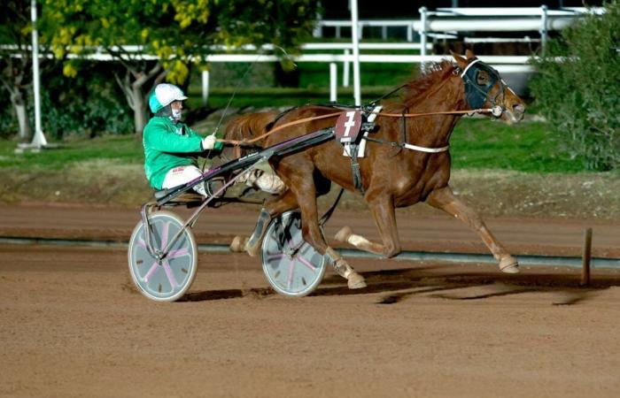 Venerdì a Cagnes – Prezzo del Périgord: