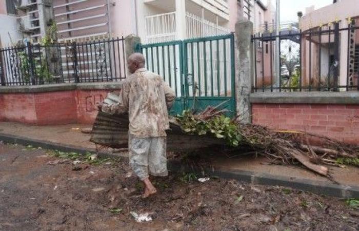 A Mayotte devastata dal ciclone, “gli agricoltori hanno perso tutto”