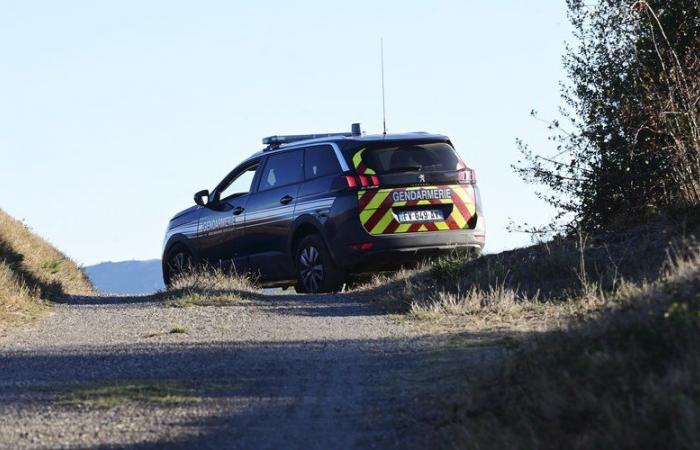 Dispersa da diversi giorni nell’Aude, è stata ritrovata sana e salva dai gendarmi